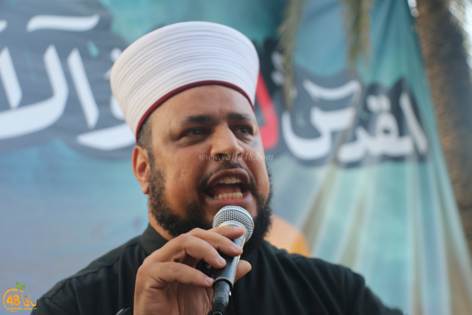 yaffa modahara jeq (79).jpg